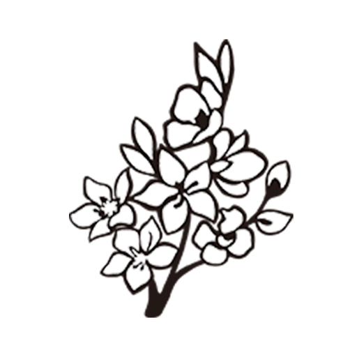 CFP50800-Cherry-Biossom.png