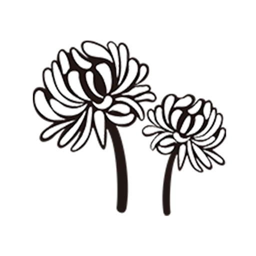  CFP50800-Chrysamthemum.png