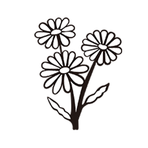 CFP50800-Daisy.png