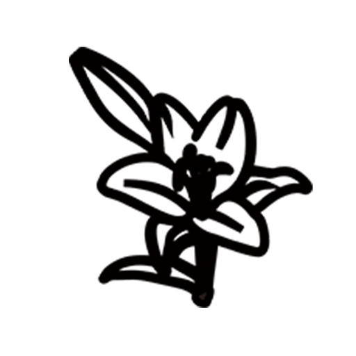 CFP50800-Lily.png