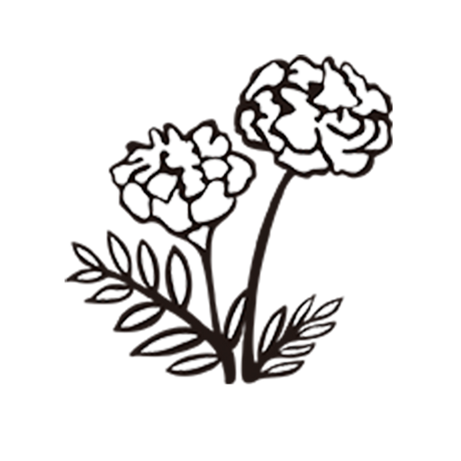CFP50800-Marigold.png