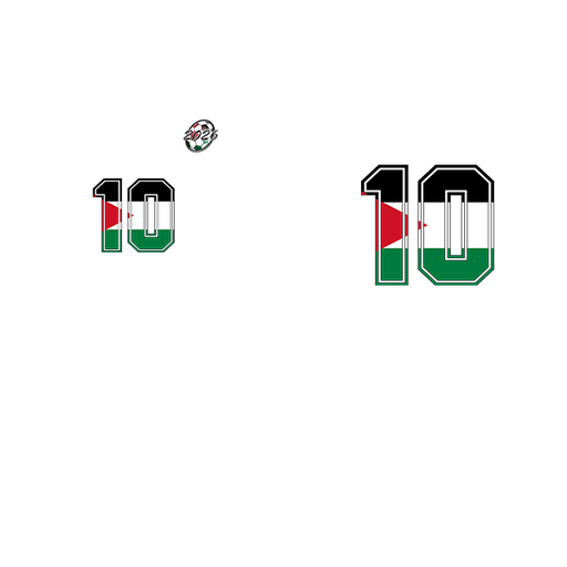  CFT50774-B5-22.Jordan.png