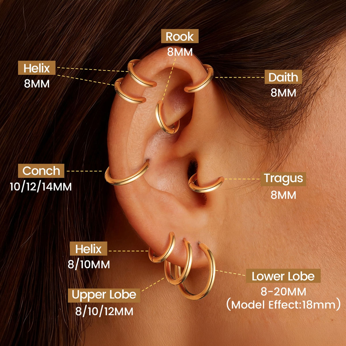 Gold huggie earrings on an ear with labeled earlobe positions.