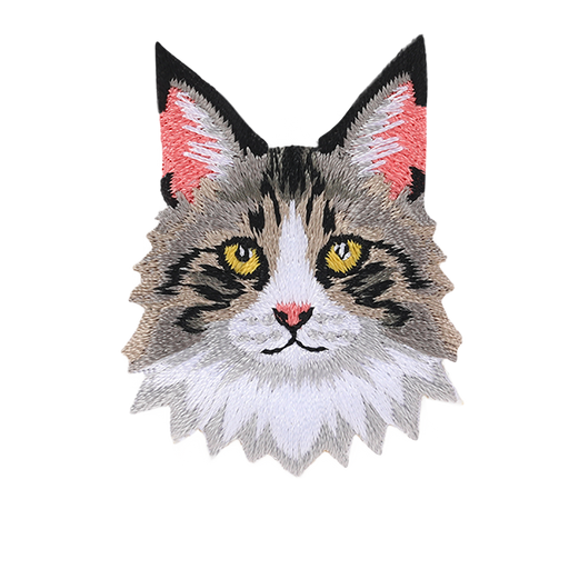 Maine_Coon.png