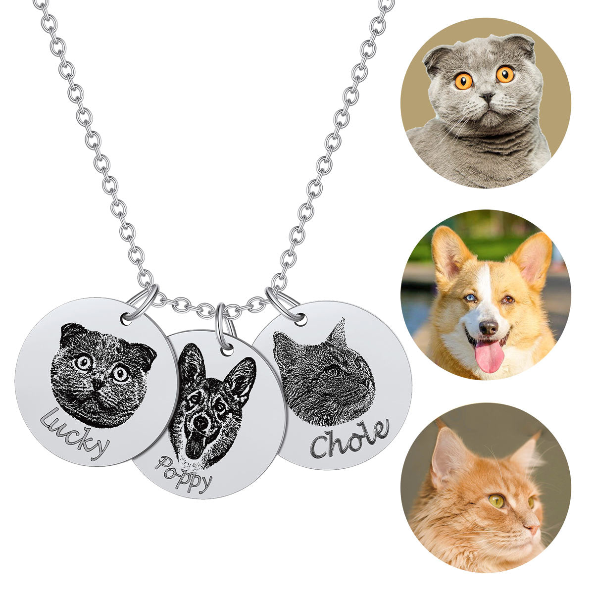 Pet Portrait Picture Necklace 3 Coin