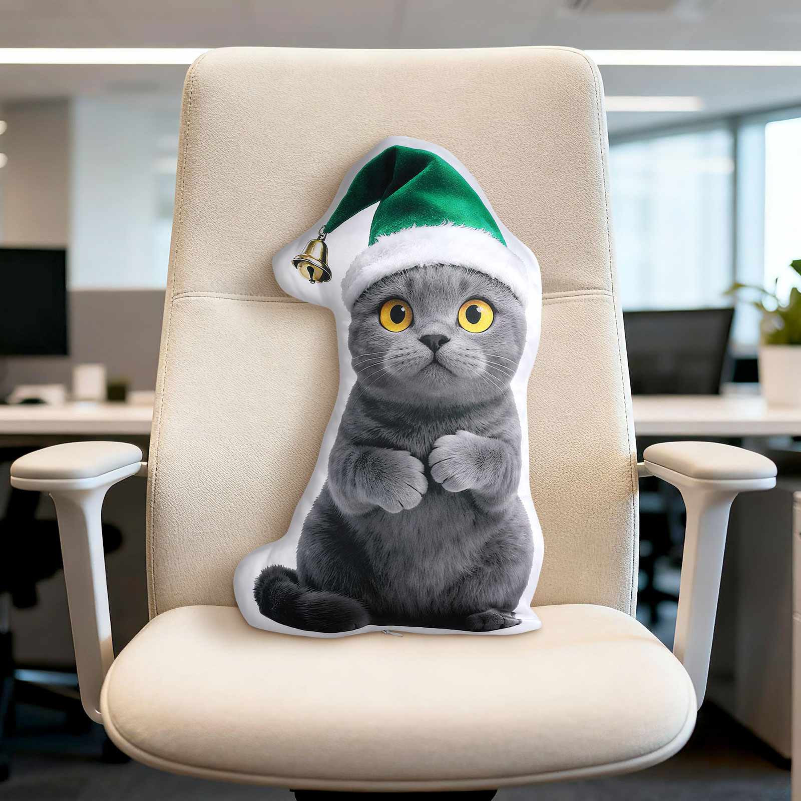 Photo Pillow with Picture Double Side for office