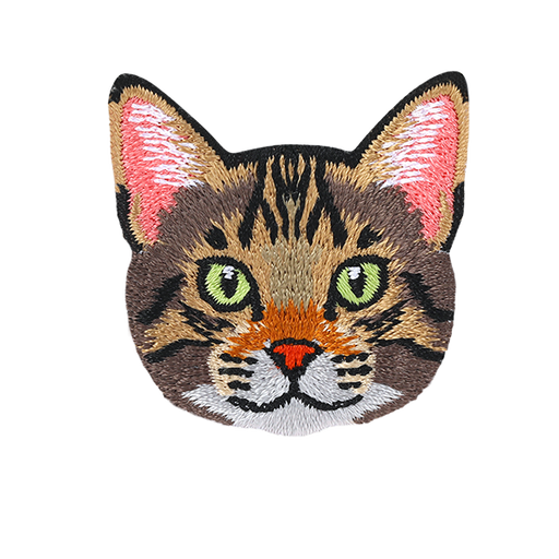 Tabby_Cat.png