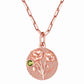 Birth Month Flower Disc Necklace With Birthstone